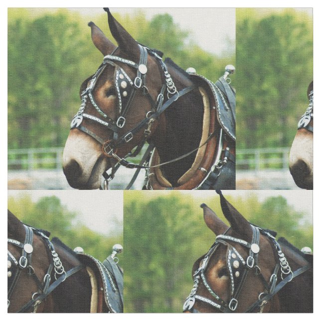 Tissu jour de mule (Fermer)