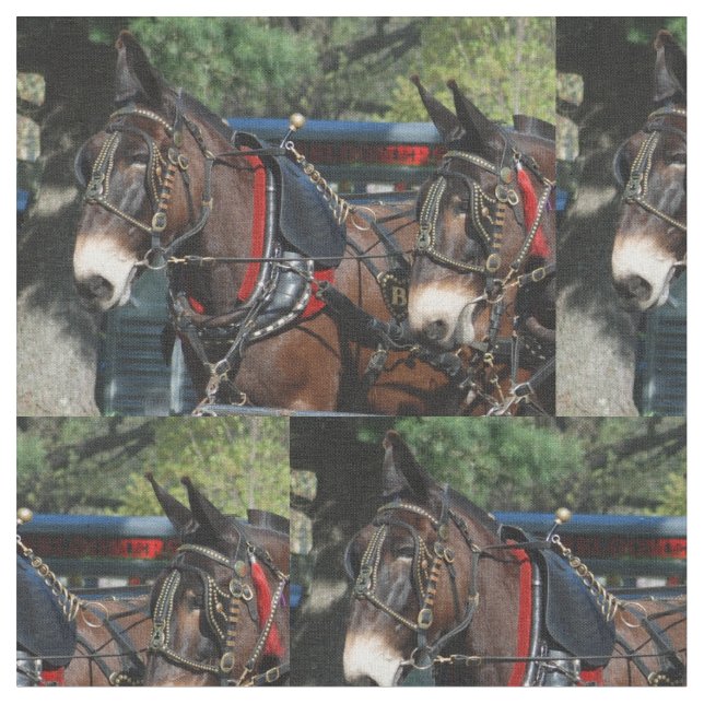 Tissu jours de mule (Fermer)