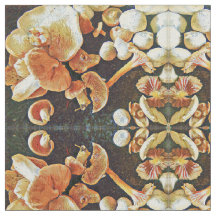 Kaléidoscope comestible de champignons