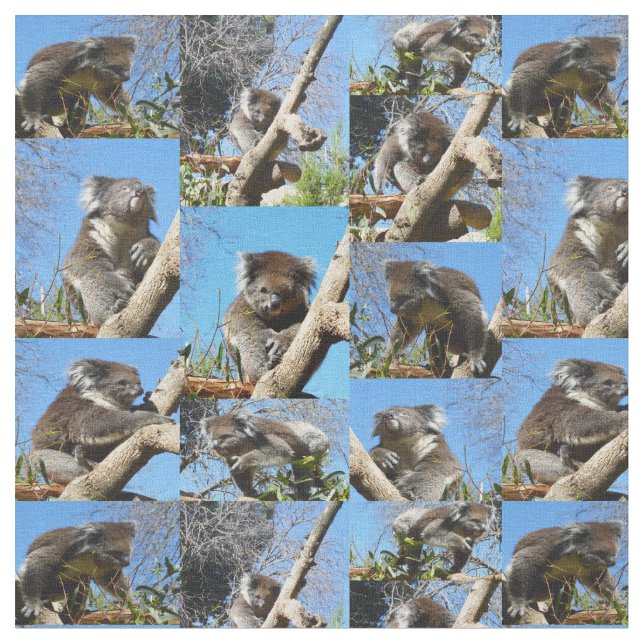 Tissu "Koala se demande : un collage de photos plein de  (Fermer)