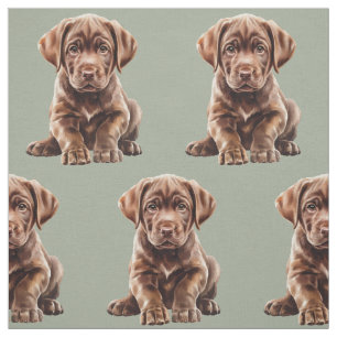 Tissu Labrador Retriever Chocolat Chien