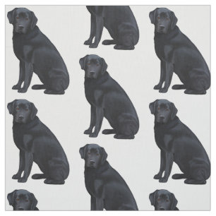 Tissu Labrador retriever noir
