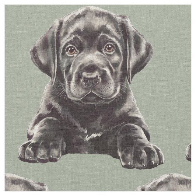 Tissu Labrador Retriever noir  (Fermer)