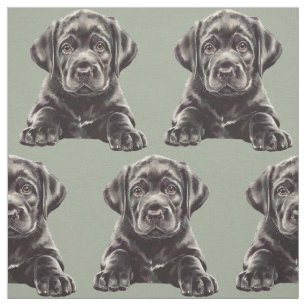 Tissu Labrador Retriever noir