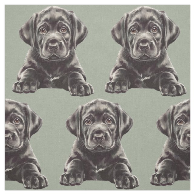 Tissu Labrador Retriever noir  (Échantillon)
