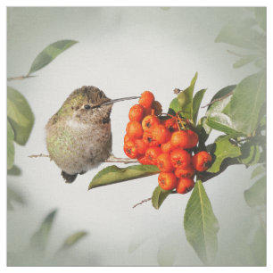 Tissu L'adorable colibri d'Anna sur le Berry Bush