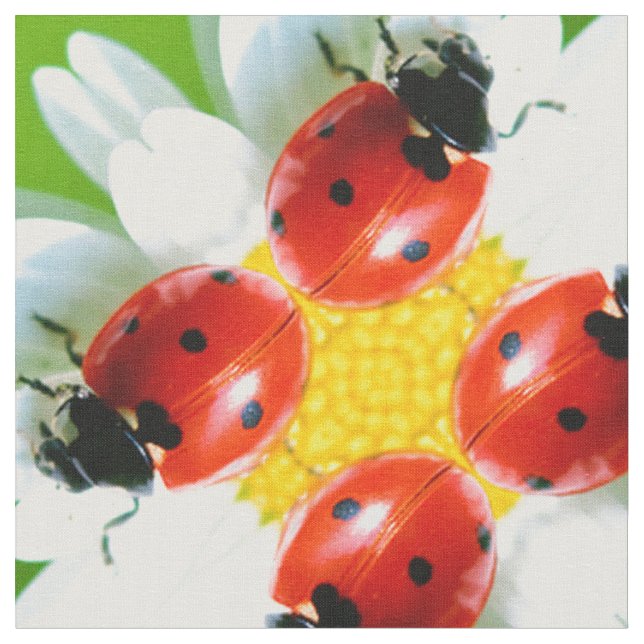 Tissu Ladybugs Art 1 (Fermer)