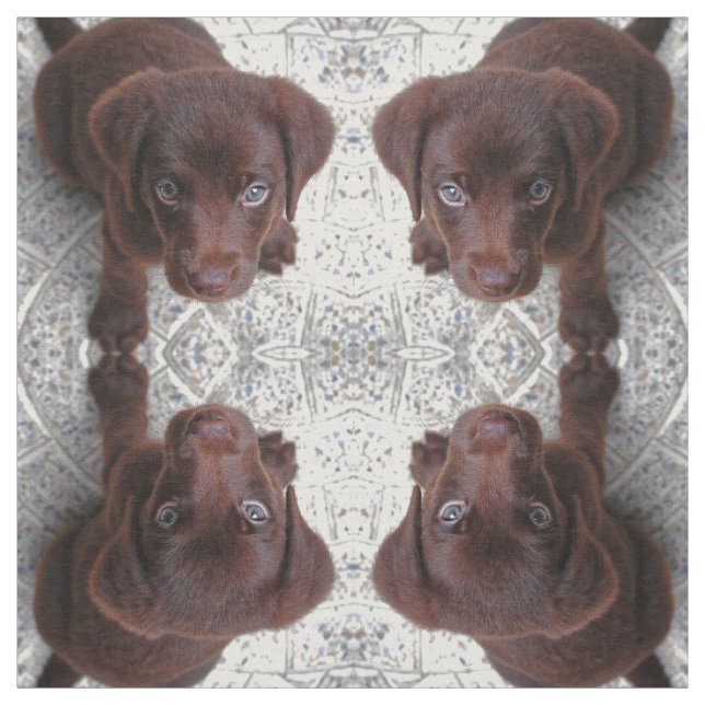 Tissu L'amour des chiots (Échantillon)