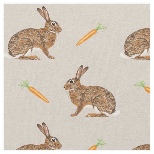 Tissu Lapins de Pâques de printemps et carottes sur fond (Fermer)