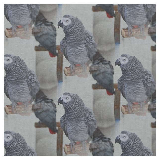 Tissu Le perroquet gris du Congo en miroir (Fermer)