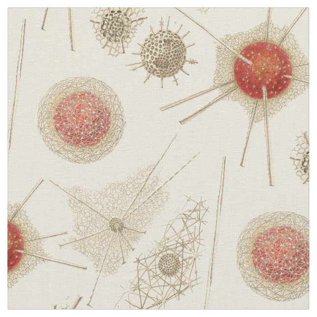 Tissu Le Radiolarian d'Ernst Haeckel (Fermer)