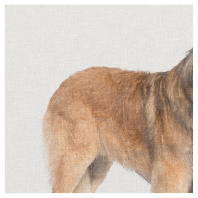 Tissu Leonberger (Fermer)