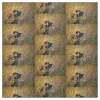 Tissu Leonberger d'automne