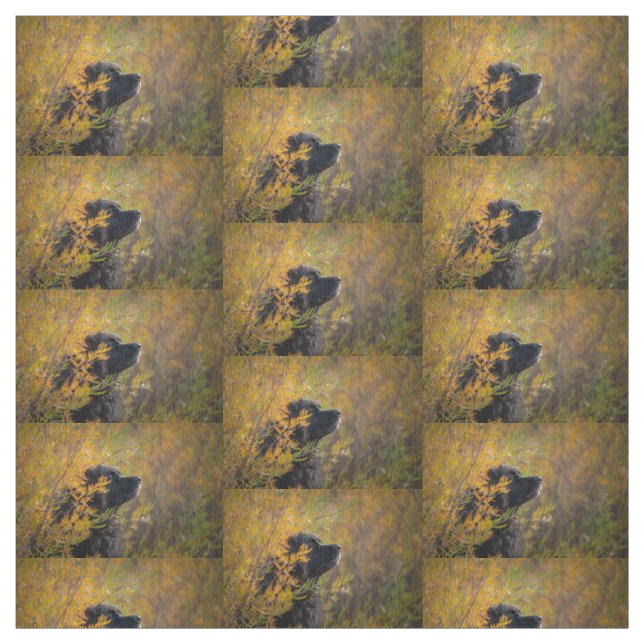 Tissu Leonberger d'automne (Échantillon)