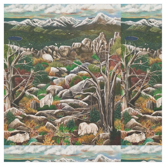 Tissu Les chèvres blanches du Mont Irlande (Fermer)