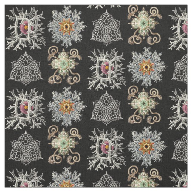 Tissu Les formes sophistiquées de la nature (Échantillon)