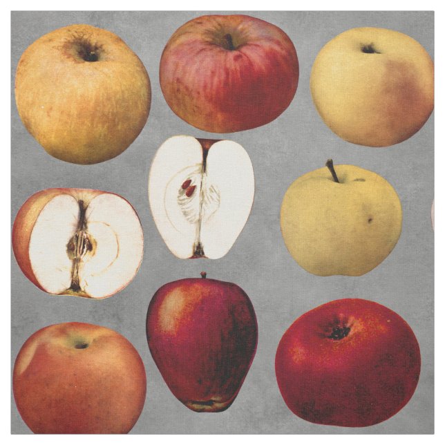 Tissu Les Pommes dorées rouges de l'enseignant (Échantillon)