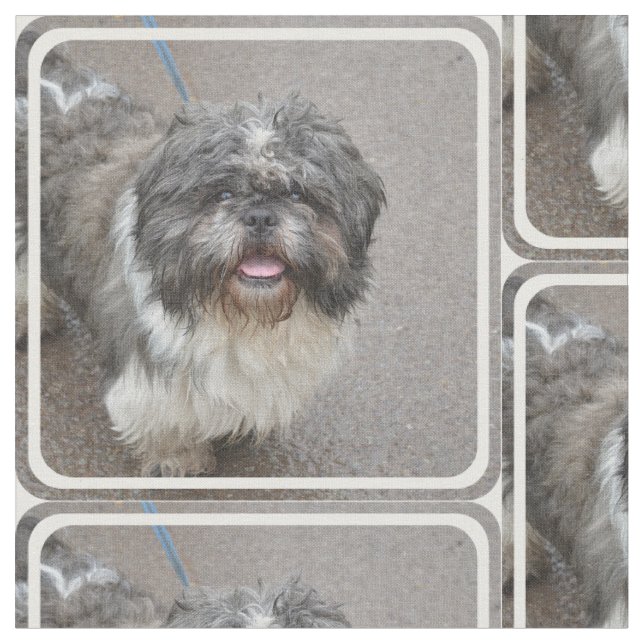 Tissu Lhasa mignonne Apso (Fermer)