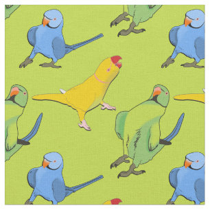 Tissu Lime Green Parrot Joueur indien Ringneck Motif