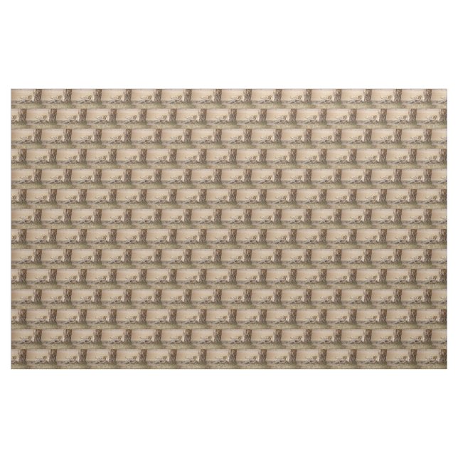 Tissu Lioness stretching (Yard)