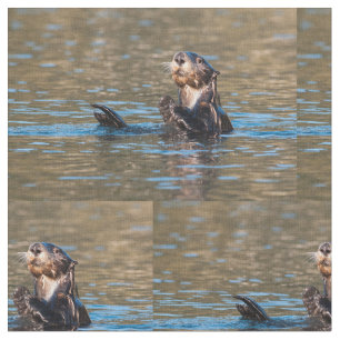 Tissu Loutre de mer ensoleillée