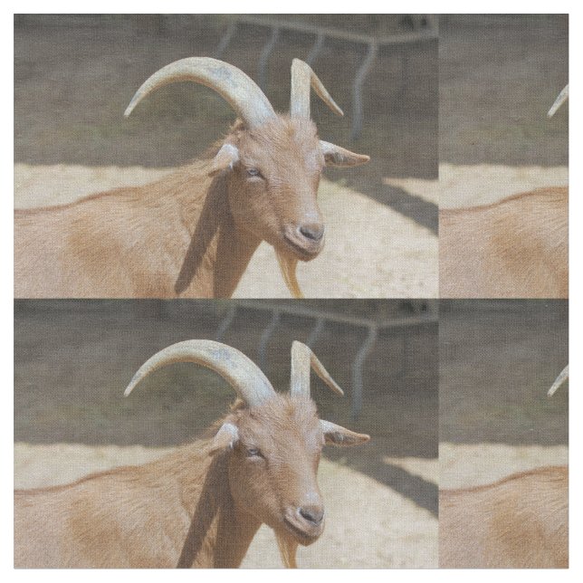 Tissu M. Bill (Fermer)