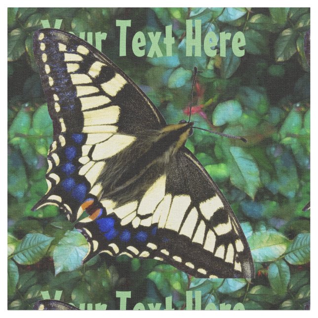 Tissu Machaon de Papilio (Fermer)