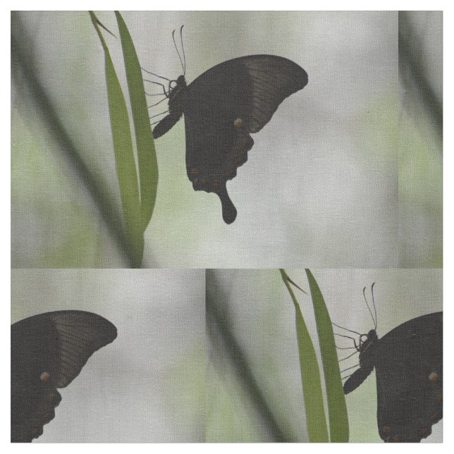 Tissu Machaon noir (Fermer)