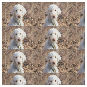Tissu Mah