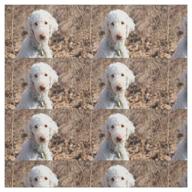 Tissu Mah (Échantillon)