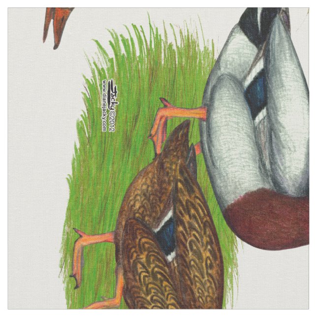 Tissu Mallard Drake et Duck (Fermer)