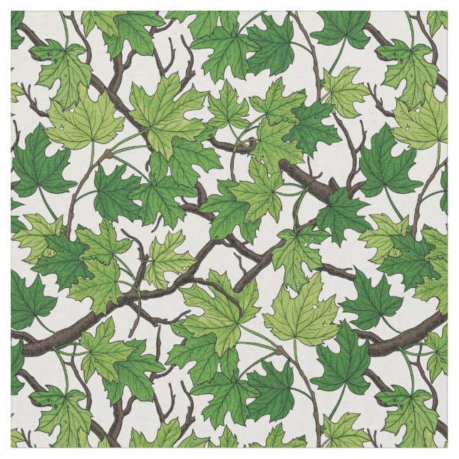 Tissu Maple leaves on white (Fermer)