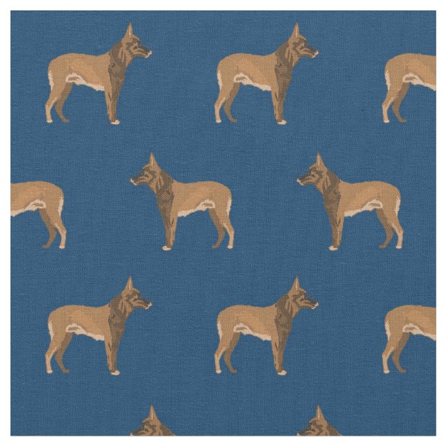 Tissu Marine des chiens malinois belge (Fermer)