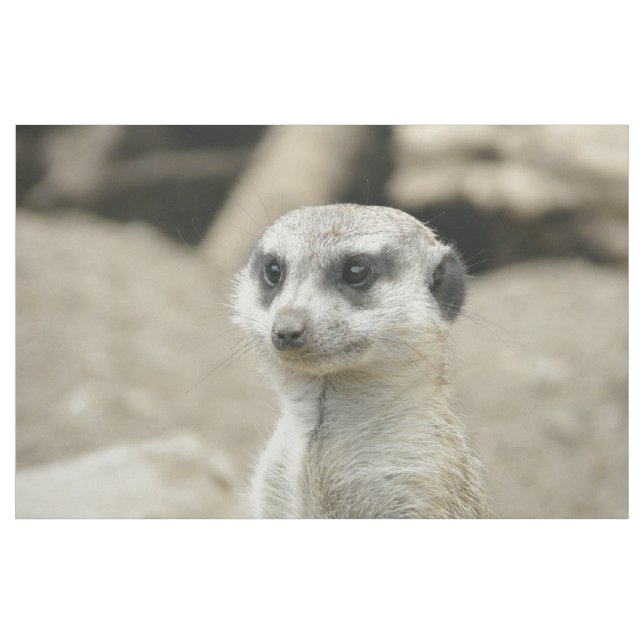 Tissu Meerkat (Yard)