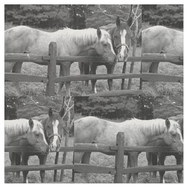 Tissu Meilleurs amis (Fermer)