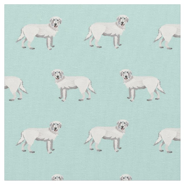 Tissu menthe à chien de mouton de maremme (Fermer)