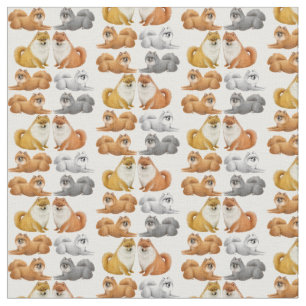Tissu mignon de chien de jouet de Pomeranian