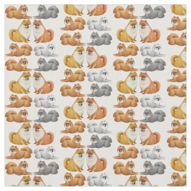 Tissu mignon de chien de jouet de Pomeranian (Fermer)