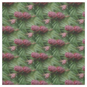 Tissu Miniature Pine Cones Motif naturel