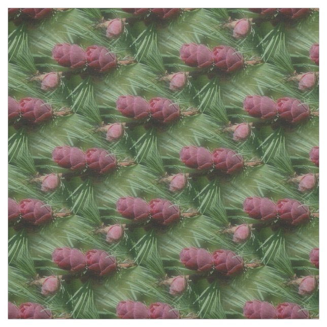 Tissu Miniature Pine Cones Motif naturel (Échantillon)