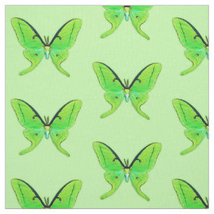 Tissu Mite de Luna sur un pâle - arrière - plan vert
