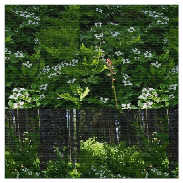 Tissu Mon trillium canadien (Échantillon)