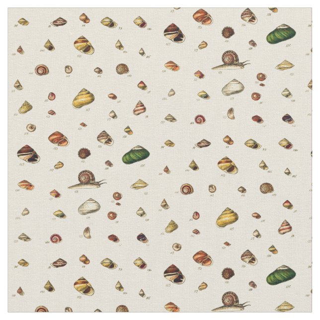 Tissu Monographies des genres des coquilles (Fermer)
