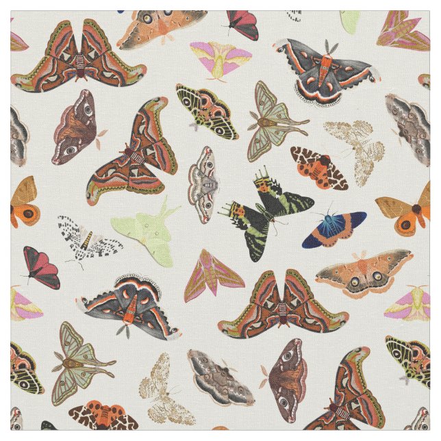 Tissu Moths insectes belle nature (Fermer)