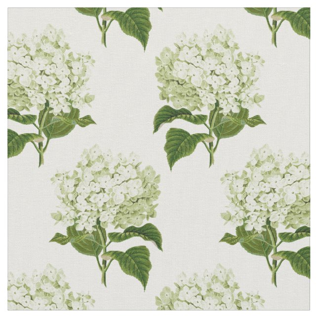 Tissu Motif à fleurs d'Hydrangea blanc et vert (Fermer)