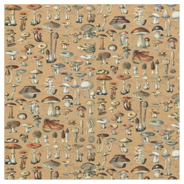 Tissu Motif de champignons vintages (Fermer)
