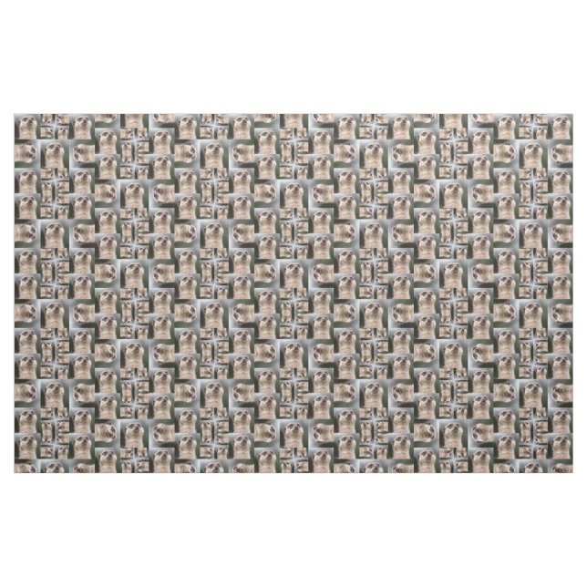 Tissu Motif de Meerkat (Fat Quarter)