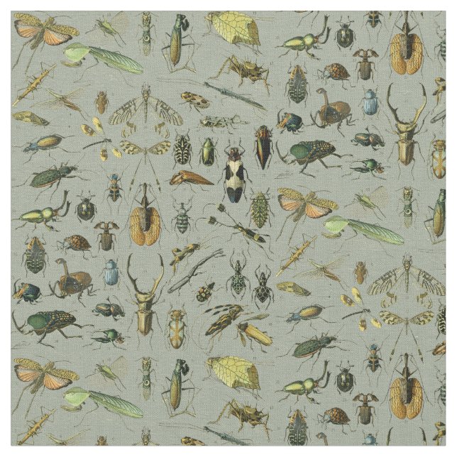 Tissu Motif d'insectes vintage (Fermer)
