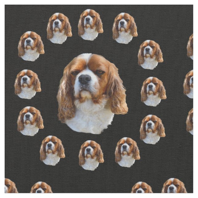 Tissu Motif du roi Charles Spaniel, (Fermer)