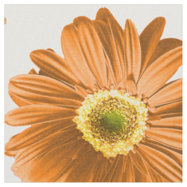 Tissu Motif orange Pop Daisy (Fermer)